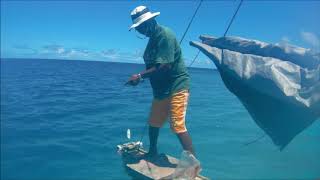 Download lagu Marshall Islands - Traditional Canoe Sailing and Fishing mp3 Download lagu Marshall Islands - Traditional Canoe Sailing and Fishing mp3