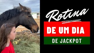 VLOG - UM DIA DE JACKPOT