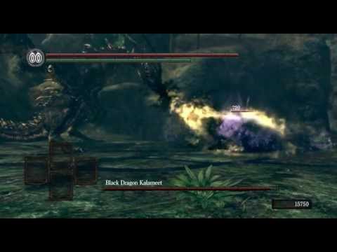 Artorias vs Kalameet