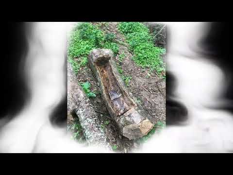 😱😱Historias atrapantes del Chaco