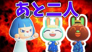 ウサギ島まであと二人！離島ガチャライブ　あつ森
