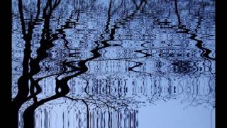 MyPhotography & Shakra - Anything