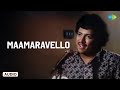 Maamaravello Audio Song Devara Gudi Rajan Nagendra S P Balasubrahmanyam