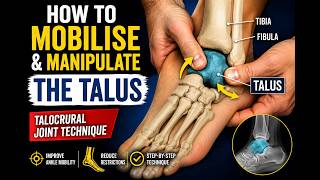How to Mobilise & Manipulate the Talus Bone (Talocrural Joint)