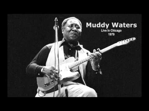 Muddy Waters - Live In Chicago 1979