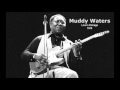 Muddy Waters - Live In Chicago 1979 - Hairyblues Muddy Waters - Live In Chicago 1979