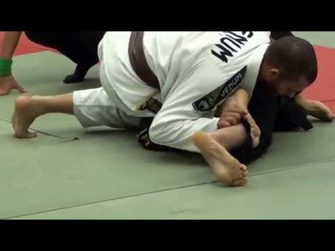 Szabó Gyula vs. Sebastien William Amaud Garnier @ 2014 Paris Open -76kg GI (1st Fight)