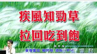 【掌聲響起】#賴昇楷 0426 - 利空下，多頭力守防線，預期大盤將在月線之上穩住陣腳，下周布局「疾風中的勁草」；《台半、伍豐》仍偏強震盪；《波若威》二種狀況《台灣巨砲》轉弱退場 (圖)