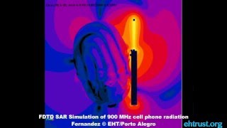Radiofrequency Radiation/FDTD SAR Simulation of a 900 MHz cell phone