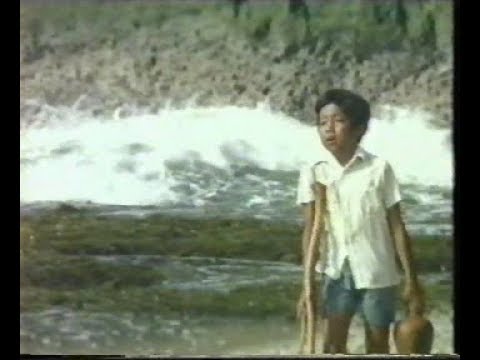 Jangan Kau Tangisi, Si Pincang (1974) Erwin Gutawa, Ratno Timoer