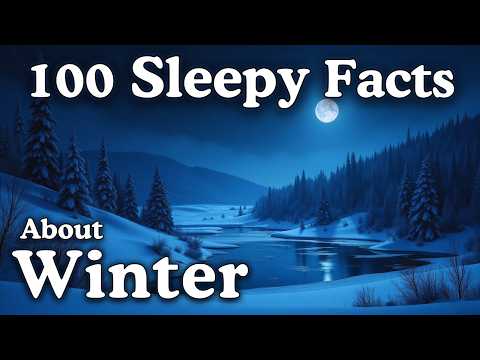 The Most Relaxing Facts About Winter to Fall Asleep To - Dreamy Science