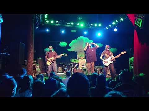 Young Culture / Broken Paper Plane live @ Trees 3/21/25