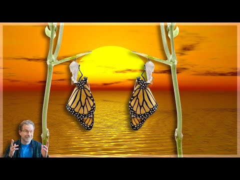 How Karma Works (Even if You Don't Believe in Rebirth)