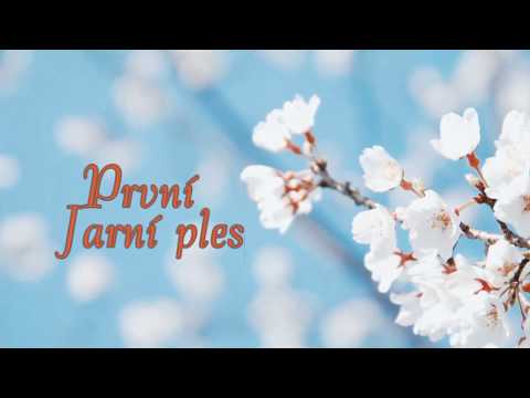 První jarní ples 2017