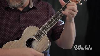 Video thumbnail for New Gear:  Fender California Coast Series Rincon Ukulele by Ukulele