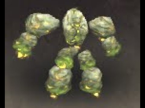 Kalimdor Safari: Minfernal Battle Pet, Felwood, WoW Retail