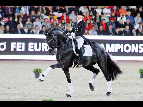 Fürstenball - Stallion Collection Schockemoehle & Helgstrand 2021 ENG