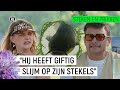 GROOTSTE ANGST OVERWINNEN: GESTOKEN DOOR MEERVAL!! | Steken en Prikken | S3 #10 | NPO Zapp