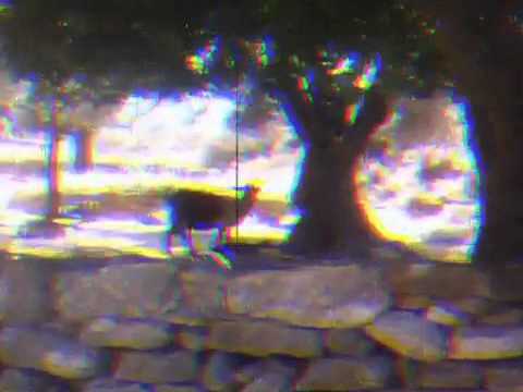 iPhone von Peter Thun's Film