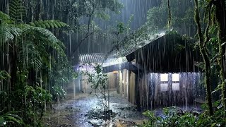 Sleeping Soundly Under Heavy Rain and Fierce Lightning on the Old Corrugated Iron Roof at Night.
