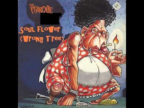 Video thumbnail for Soul Flower (Wrong Tree Mix)
