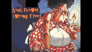 the Pharcyde - Soul Flower (Wrong Tree)