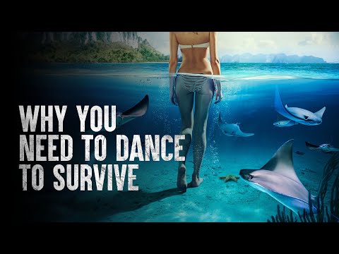 How to Survive Falling Into a Pool of Stingrays