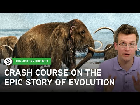クラッシュコースビッグヒストリー。進化の叙事詩 (Crash Course Big History: The Evolutionary Epic)