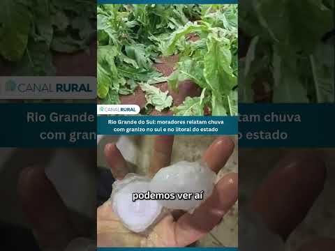 Rio Grande do Sul: moradores relatam chuva com granizo no sul e no litoral do estado