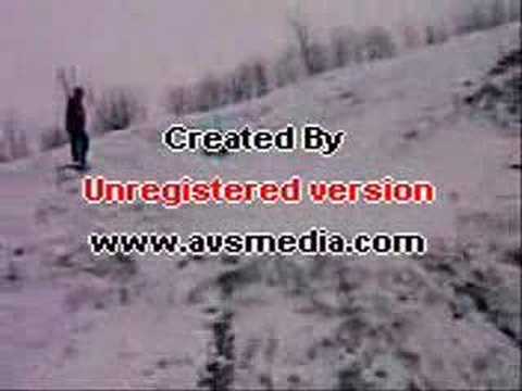 Jackass De Tanasoaia City