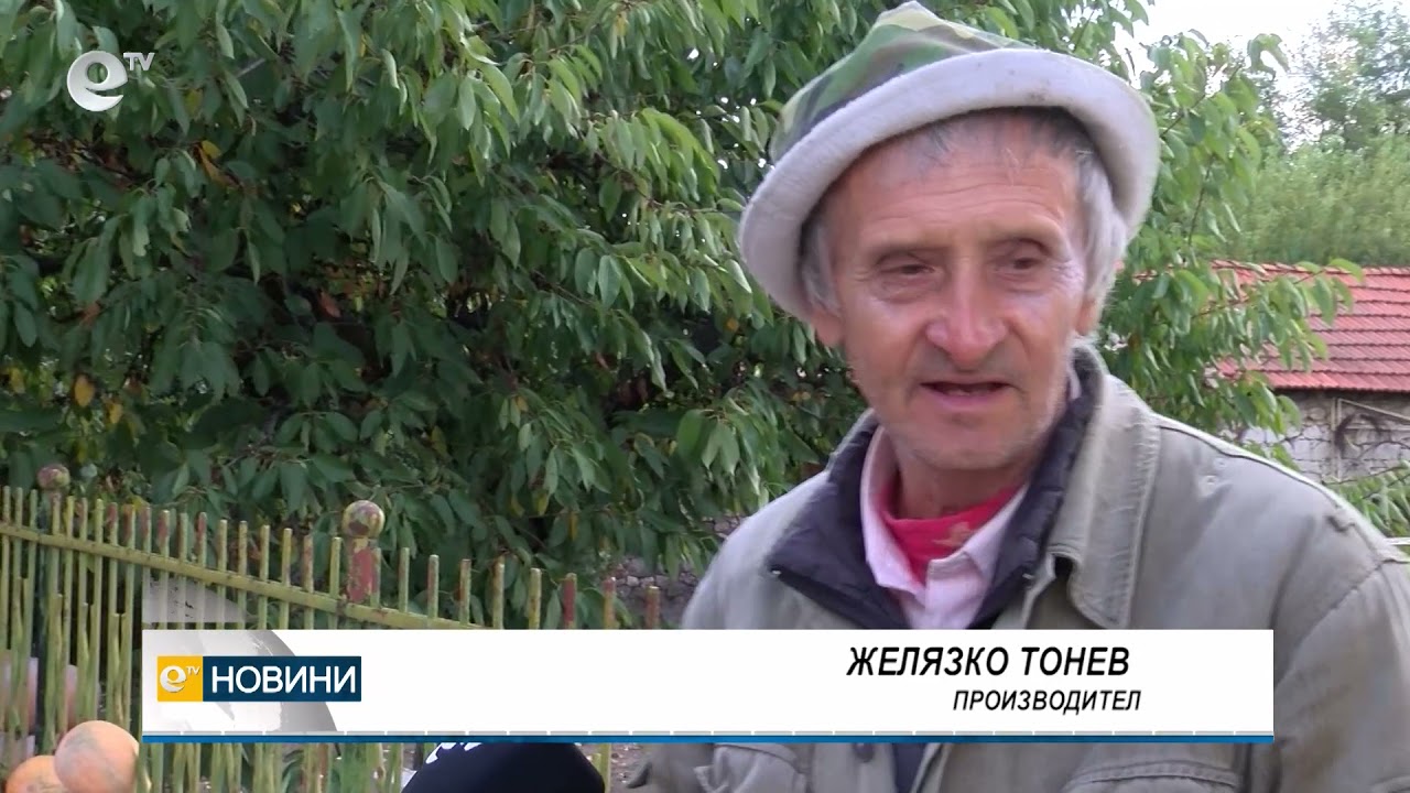 Земеделците от с. Горски извор са доволни от добива на тикви