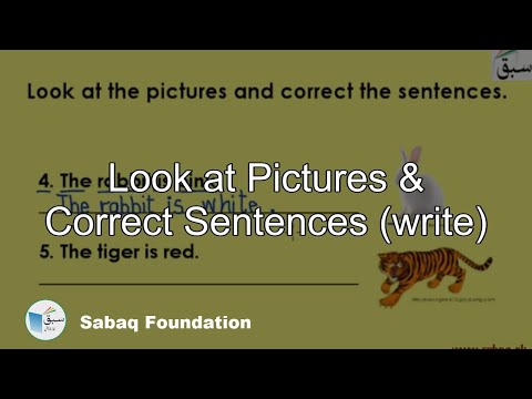 Look at Pictures & Correct Sentences (write), English Lecture | Sabaq.pk |