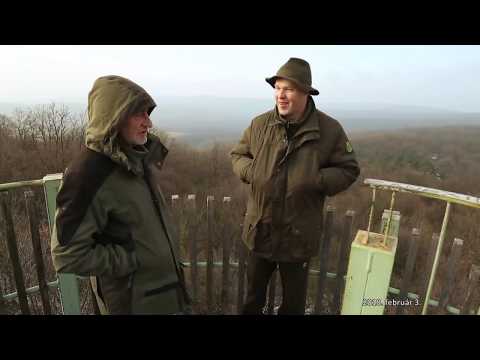 ÍGY KÉSZÜL… – Reviczkyvel az Erdőben - A Mecsekben – werkfilm - 2018.02.03-i adás