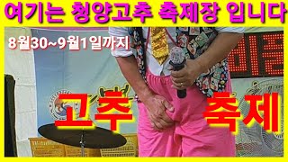 충청남도 청양에 고추,구기자 축제 장에 왔습니다 건고추 가격 고춧가루 고추가루 가격 오미자 각설이 품바