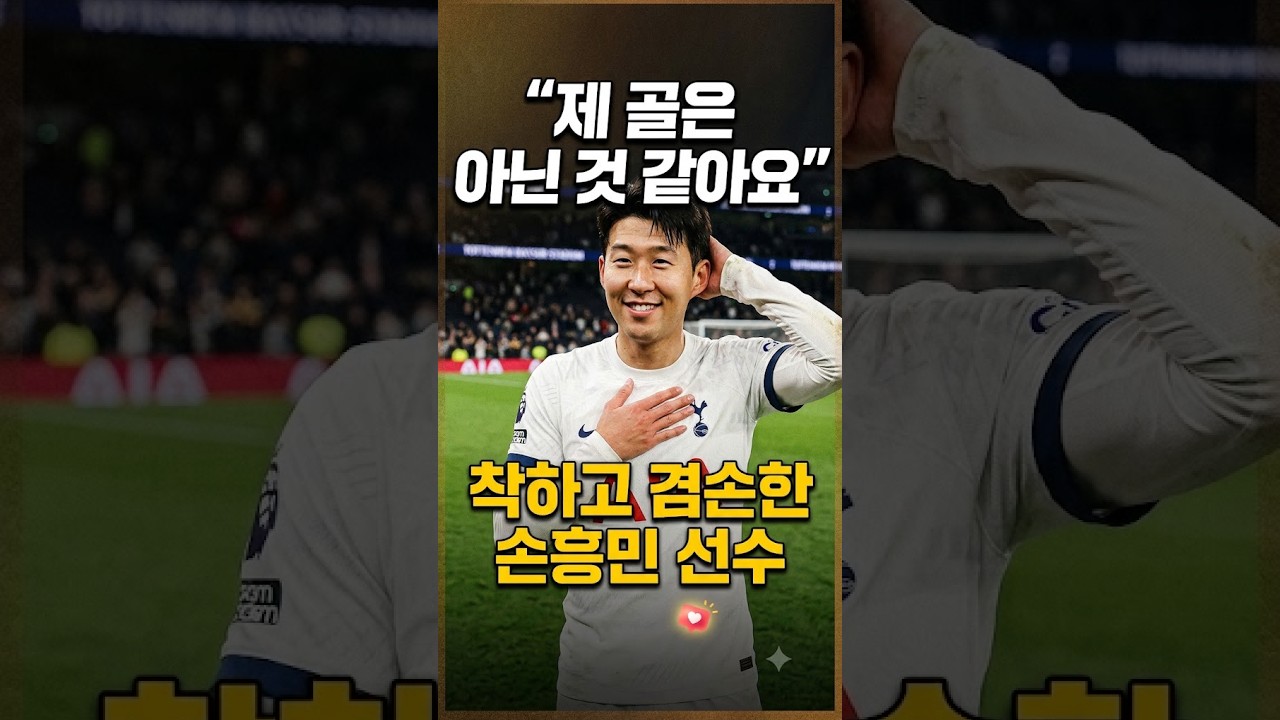 "손흥민 제 골은 아닌 것 같아요?