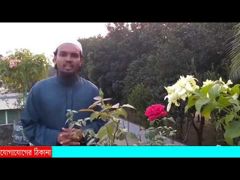 পৌরসভার ছাদে চমৎকার ছাদবাগান