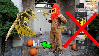 ✅ How To Get Yellow Jackets & Wasps Out of House Siding Without Getting Stung