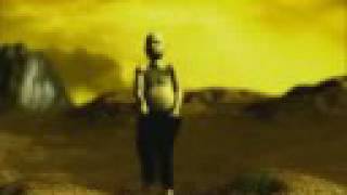 The Residents - Amber