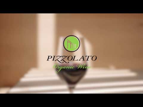 NUOVA CANTINA PIZZOLATO: PRODUZIONE DI VINO BIOLOGICO DAL 1991 - LA CANTINA PIZZOLATO VINHO ORGÂNICO