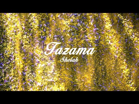 Shelah - Tazama (Official Lyric Video)