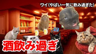 【猫ミーム】カラオケバーで記憶無くなるまでお酒飲んだ時の話