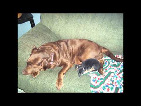 DJ Mint~e~fresh Mixtape vol2 side A