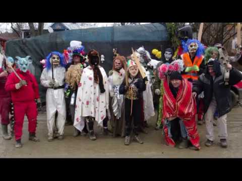 Capra de la Valea Hogei - 31.12.2017