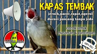 Download lagu Masteran Suara Burung Kapas Tembak Gacor Pilihan Juri Senasional Durasi Panjang #kapastembak mp3 Download lagu Masteran Suara Burung Kapas Tembak Gacor Pilihan Juri Senasional Durasi Panjang #kapastembak mp3