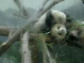 The X Man Climbs Up To Mommy