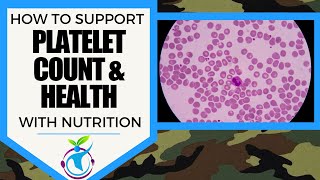How to Support PLATELET HEALTH & COUNT with Nutrition