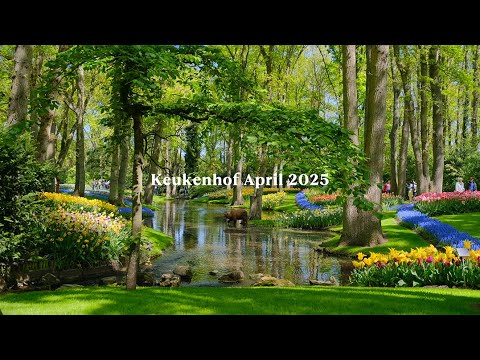 April in the Netherlands Belongs to Keukenhof’s Spring🌷
