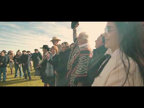 Cabanha Campana uma família do Cavalo Crioulo