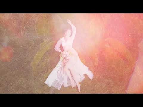 The Hollywood Allstars - Field Of Grace (Official Lyric Video)