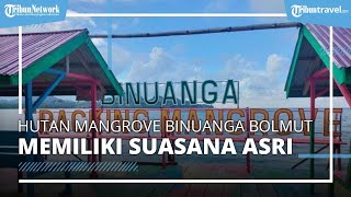 Tempat Wisata Hutan Mangrove di Desa Binuanga, Bolmut, Tawarkan Suasana Asri dan Spot Estetik